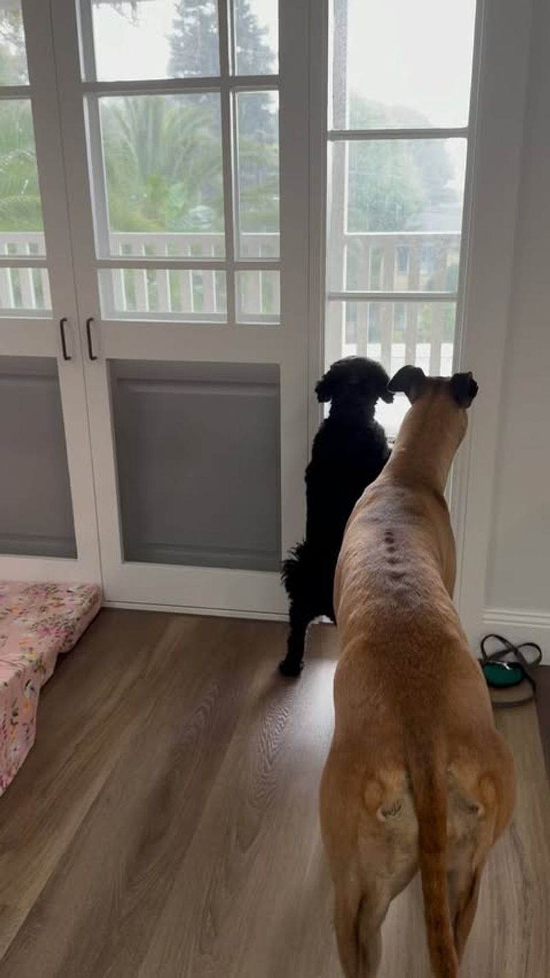 Turning Away