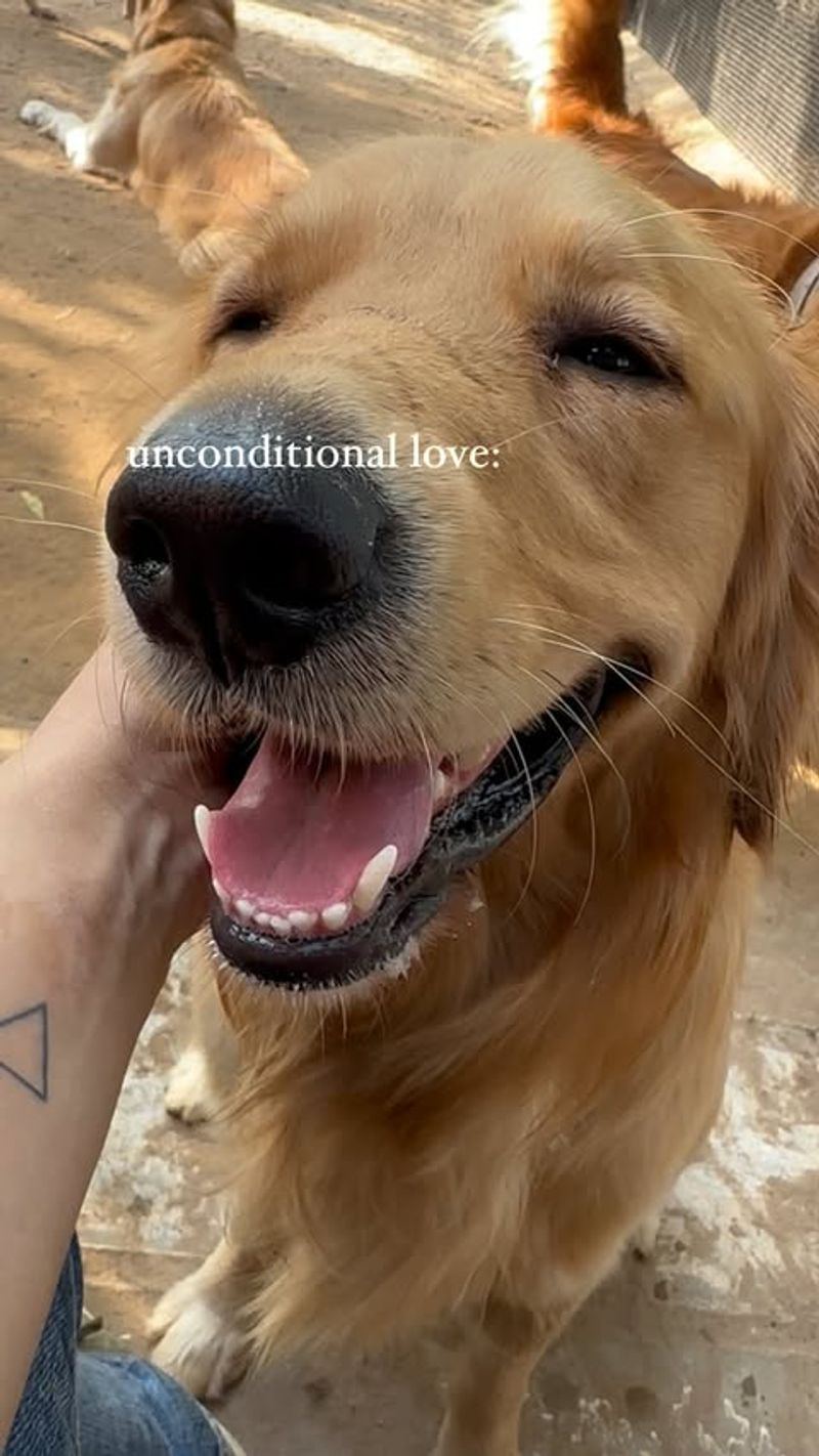Unconditional Love