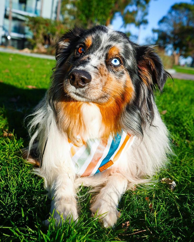 Unique Eye Colors