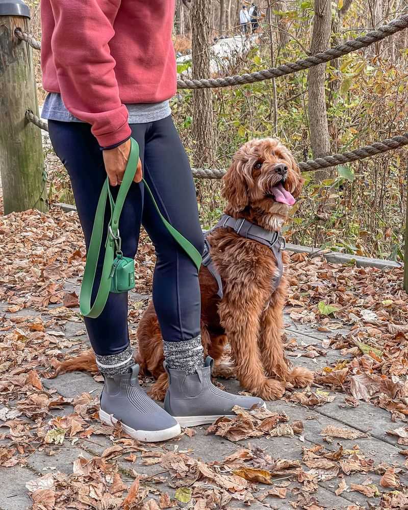 Walking Companion