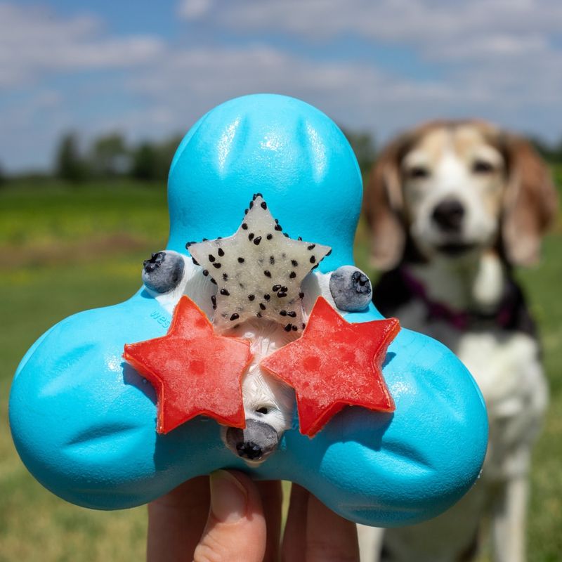 West Paw Zogoflex Dog Toy