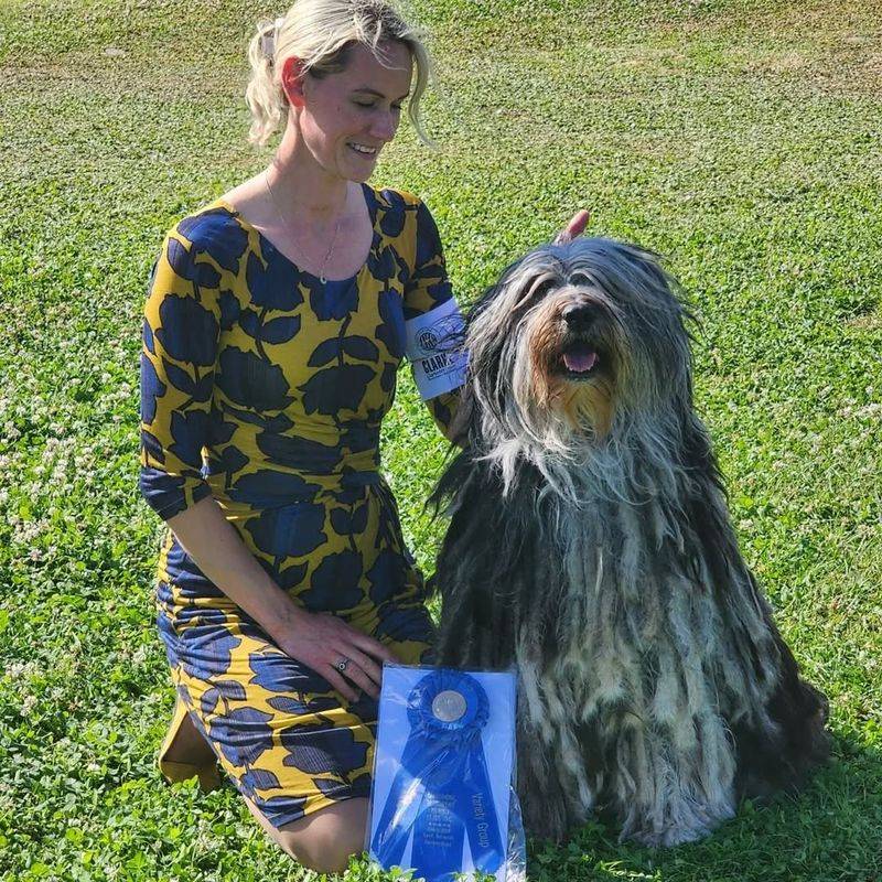 Bergamasco Sheepdog