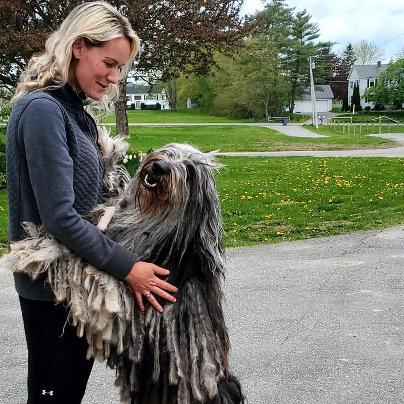 Bergamasco Shepherd