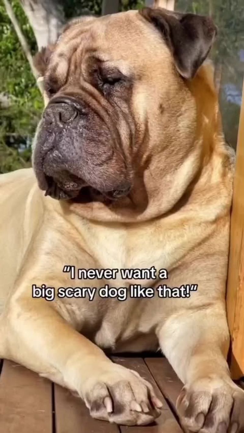 Bullmastiff