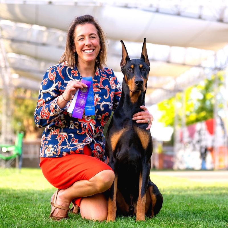 Doberman Pinscher