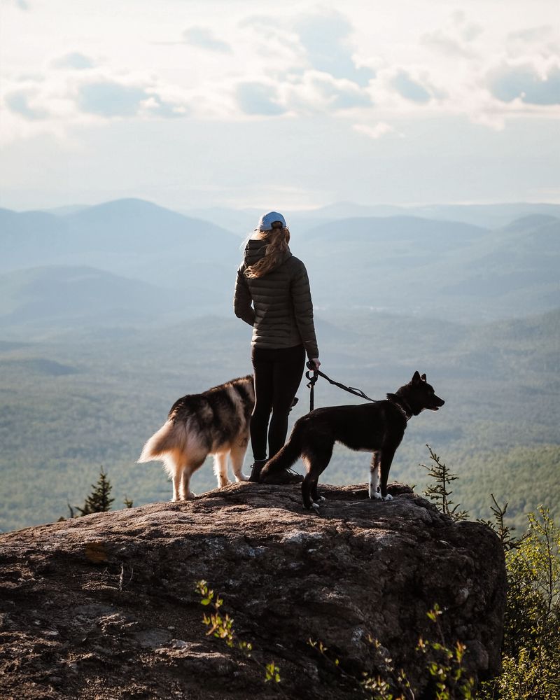 Hiking Adventures