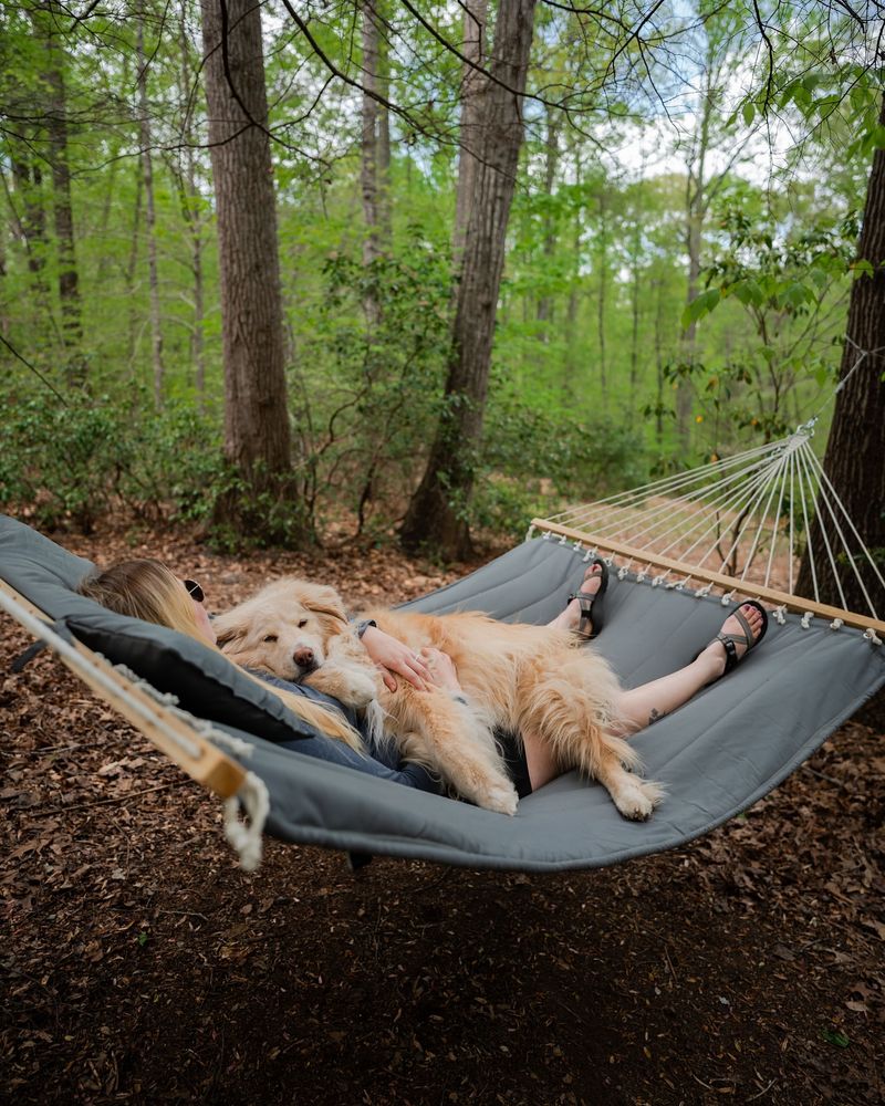 In a Hammock