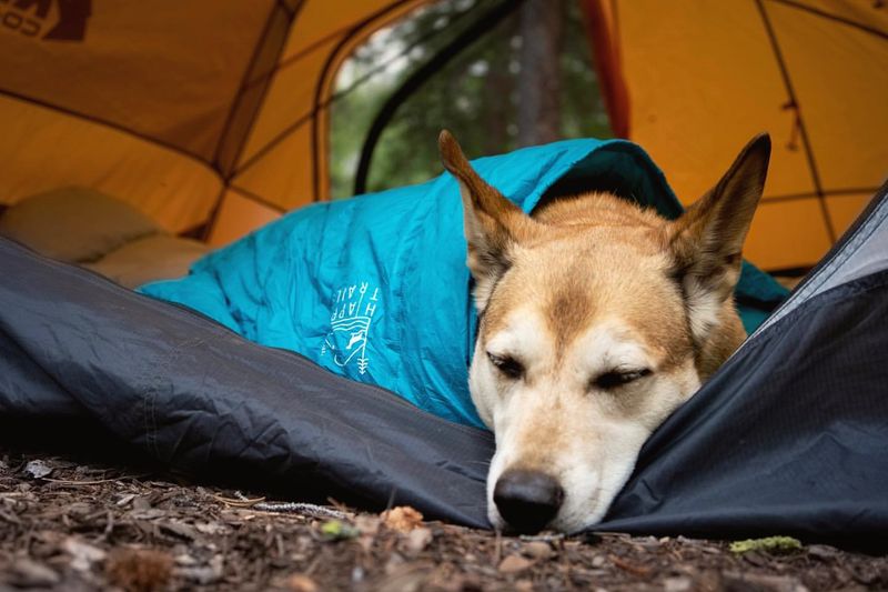 In a Tent