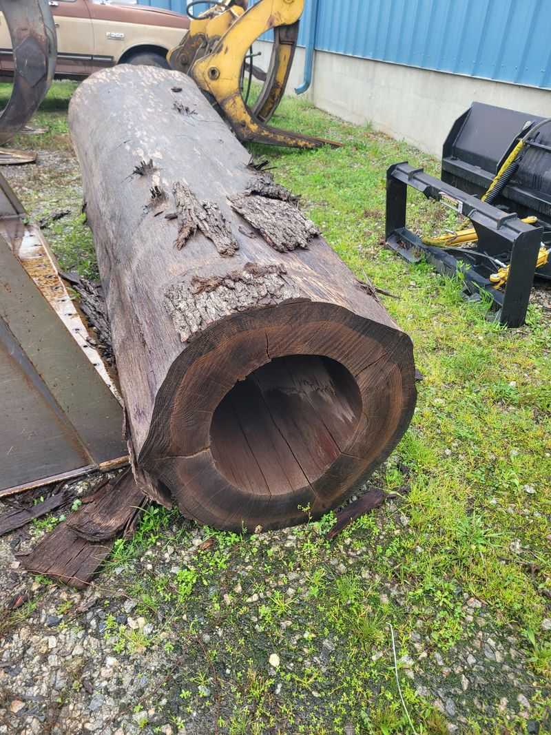 Inside a Hollow Log