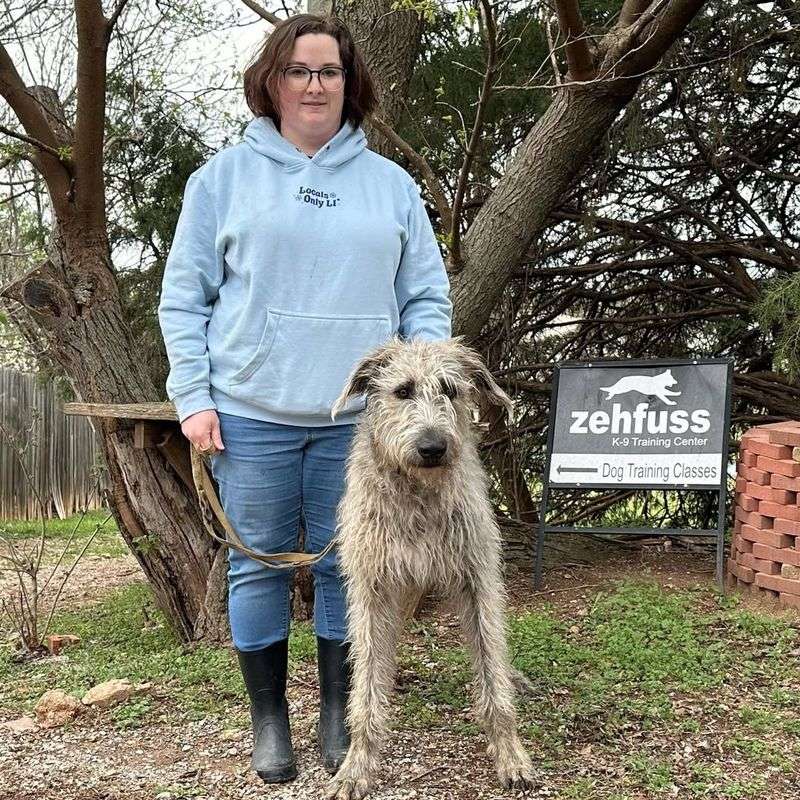 Irish Wolfhound