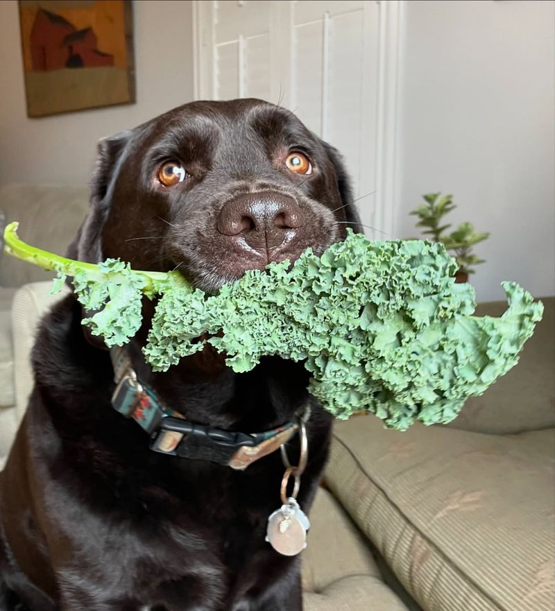 Kale