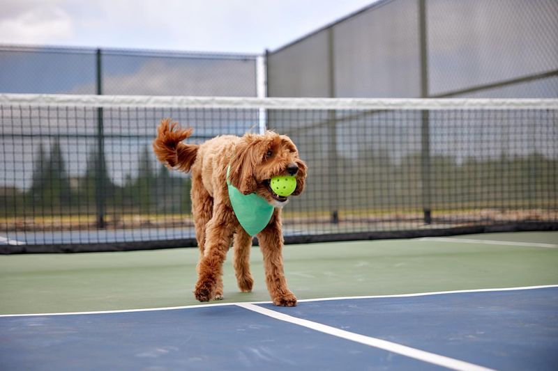 Monitoring Play Behavior