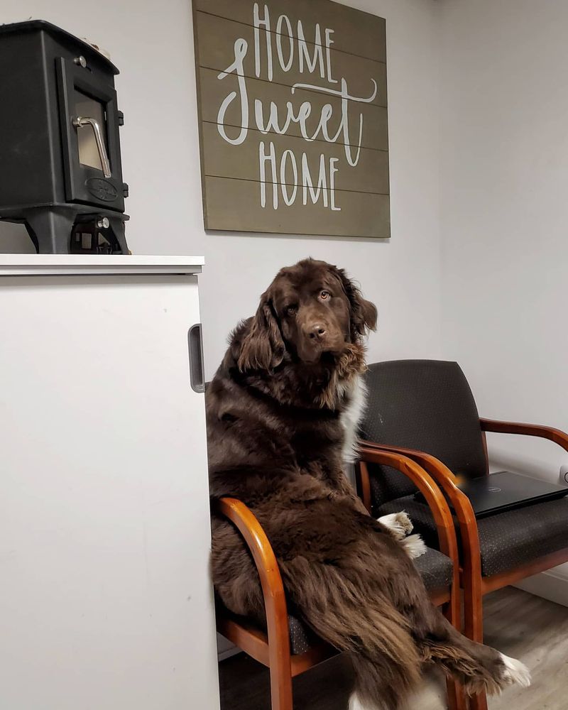 Newfoundland