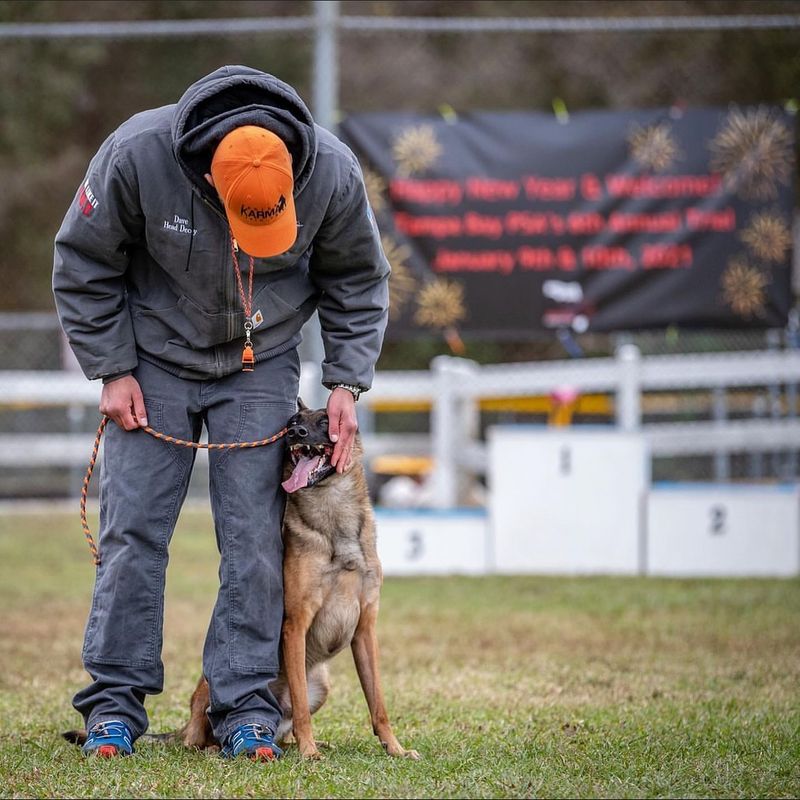 Obedience Training