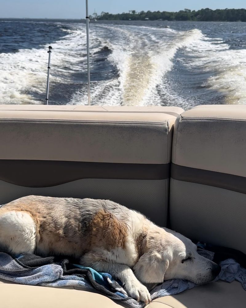 On a Boat