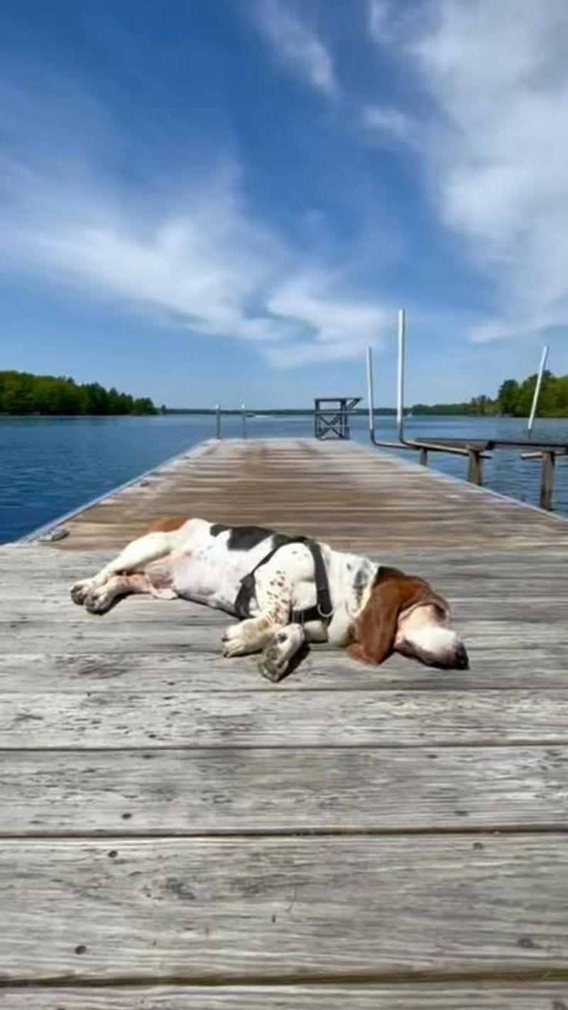 On a Dock by the Lake