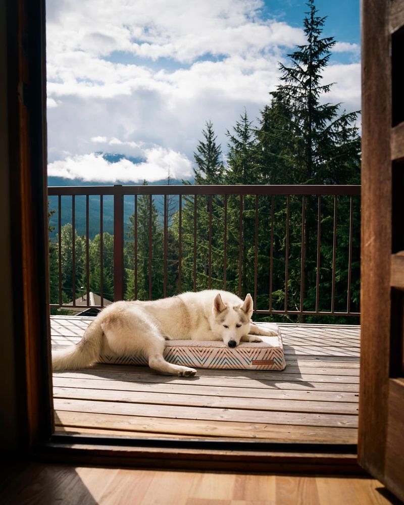 On the Porch