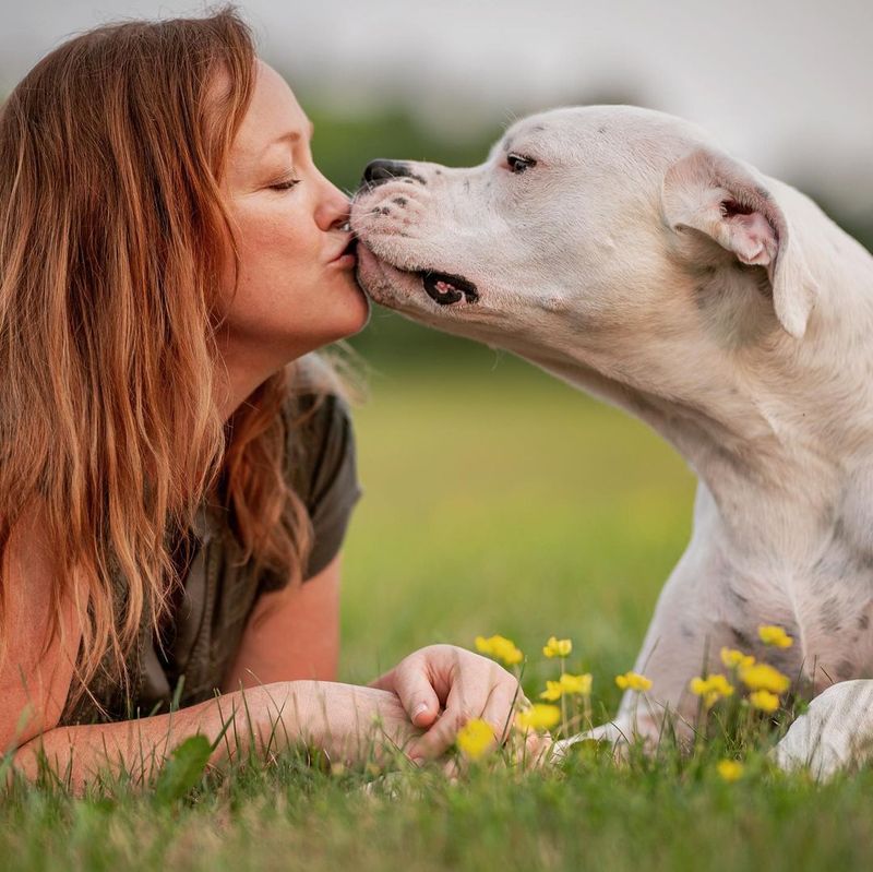 Soft Licks Are Their Version of a Loving Kiss