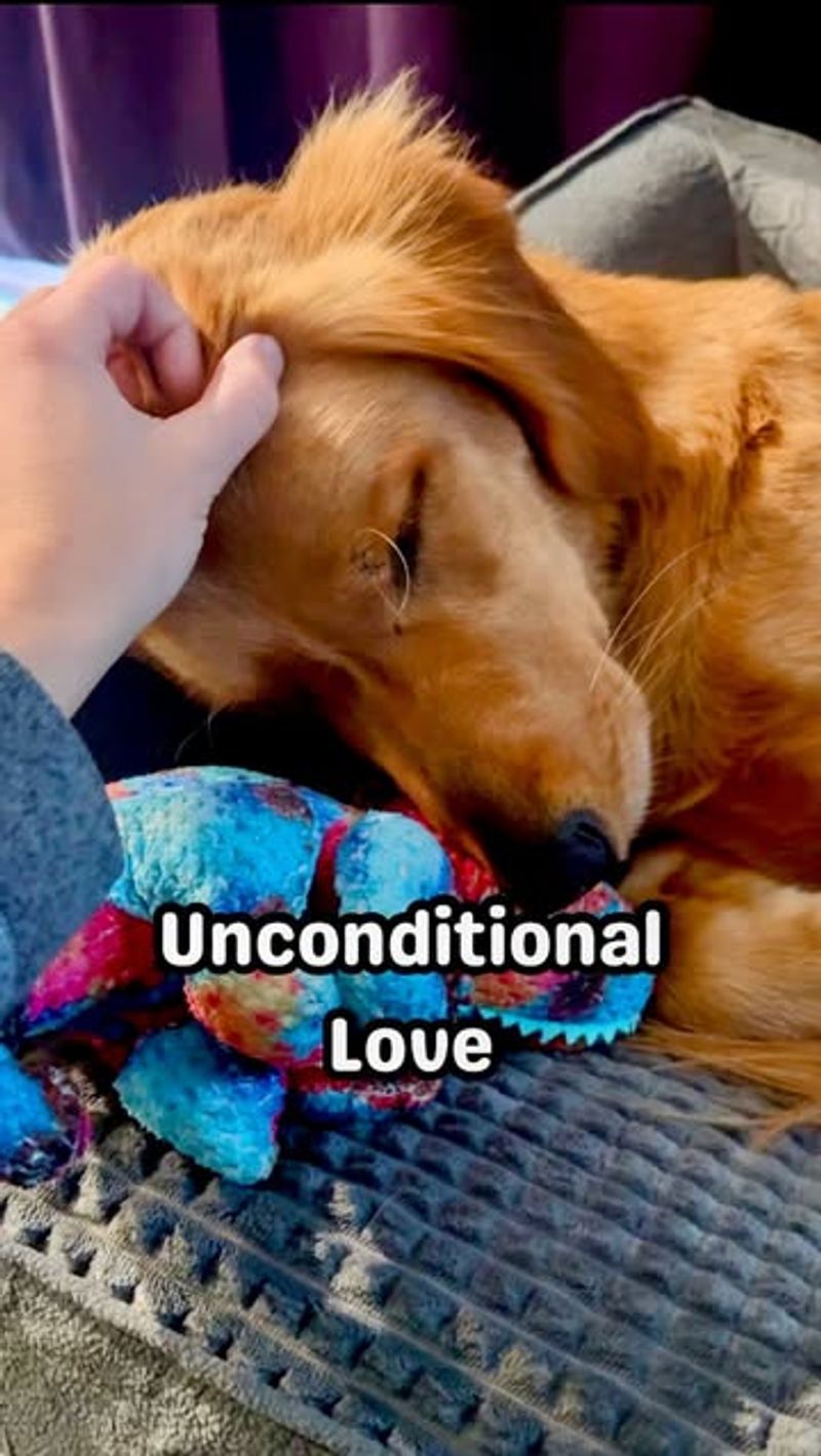 Unconditional Love