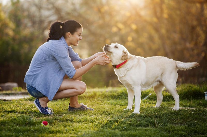 Tail Wagging with Relaxed Body