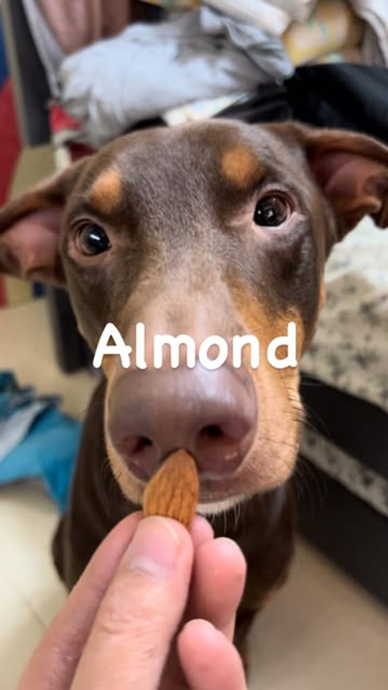 Almonds