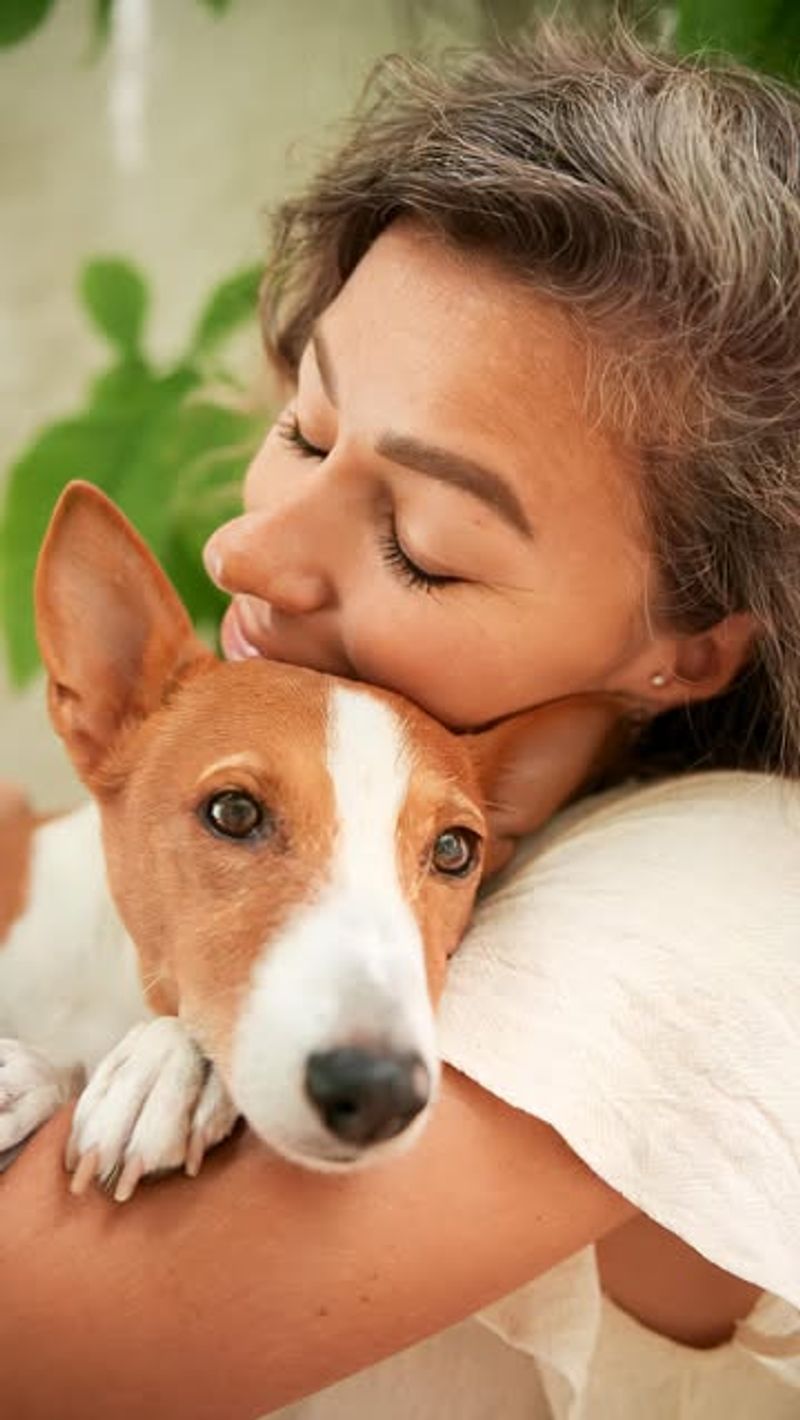Basenji