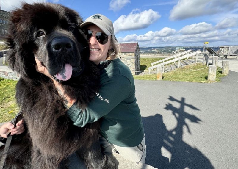 Newfoundland