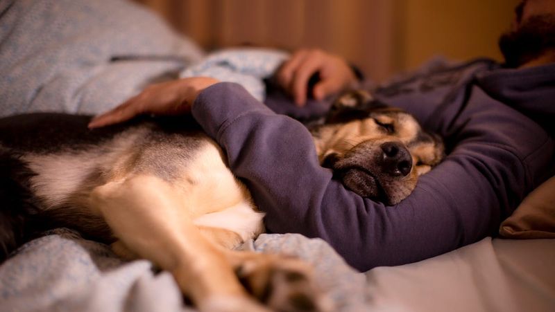 Comfortable Sleeping Near You