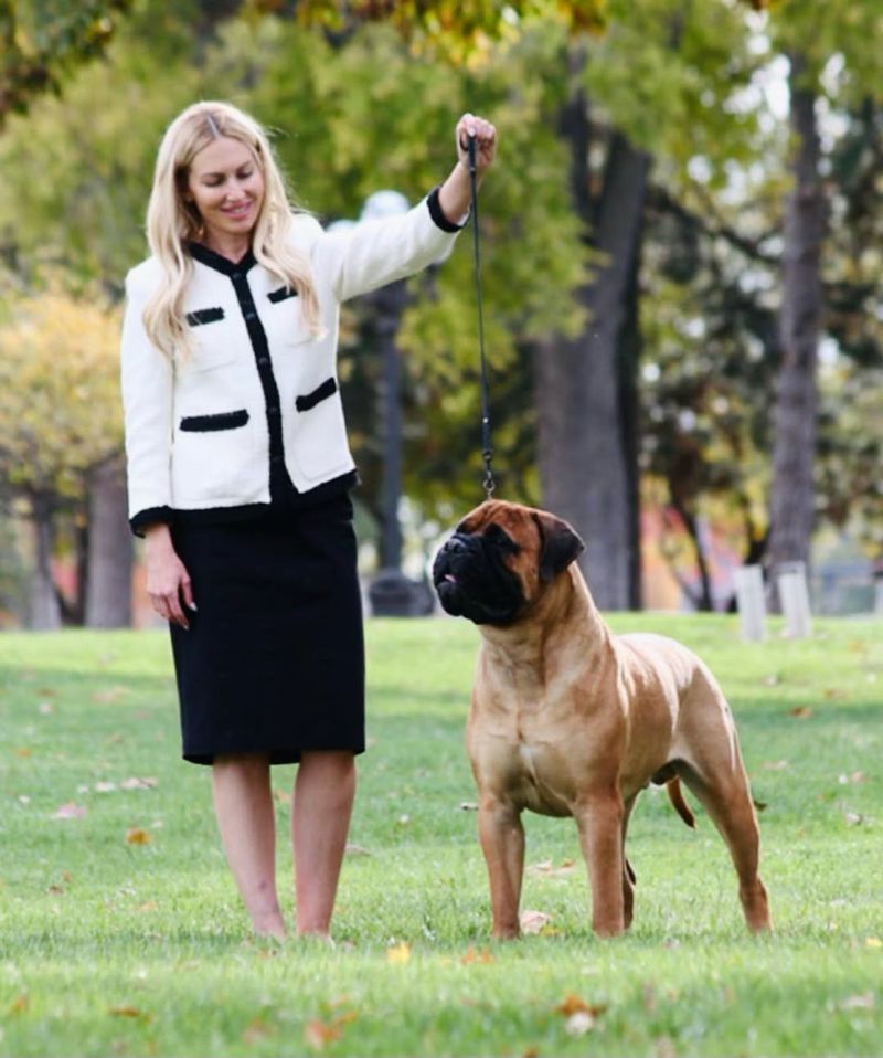 Bullmastiff
