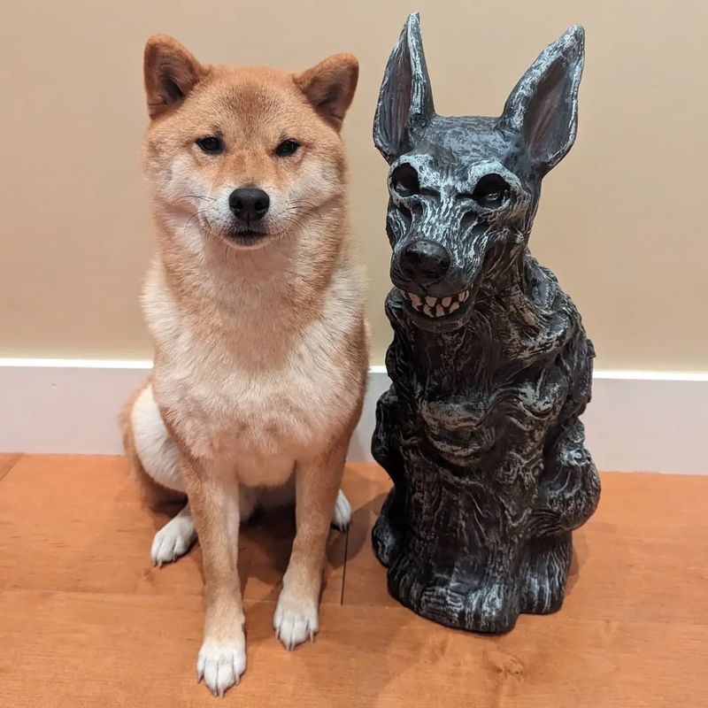 Akita Inu