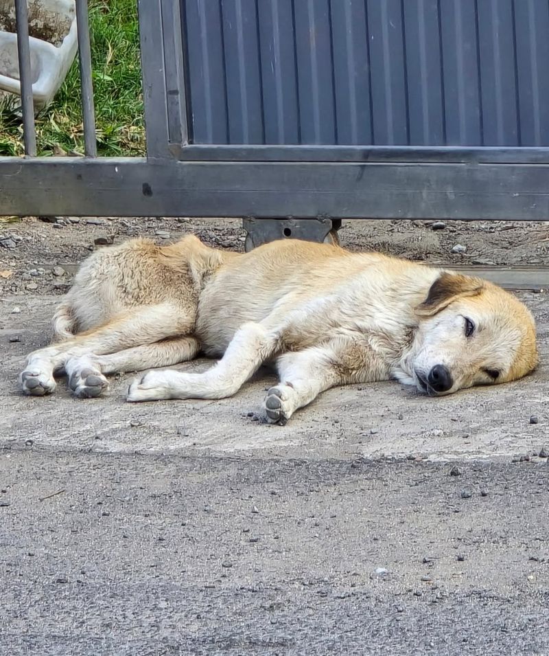 Increased Sleeping