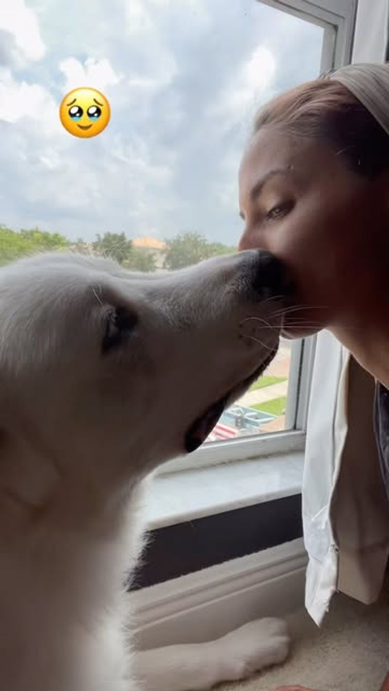 Gentle Nuzzles