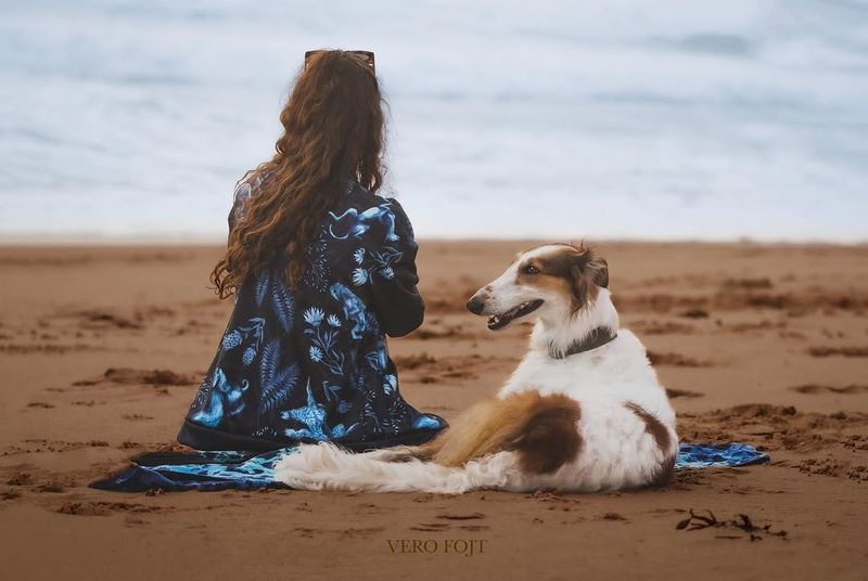 Borzoi