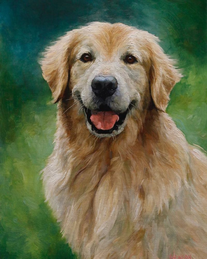 Golden Retriever