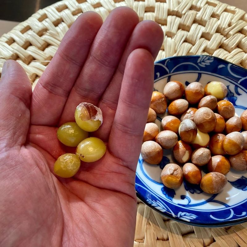 Ginkgo Nuts
