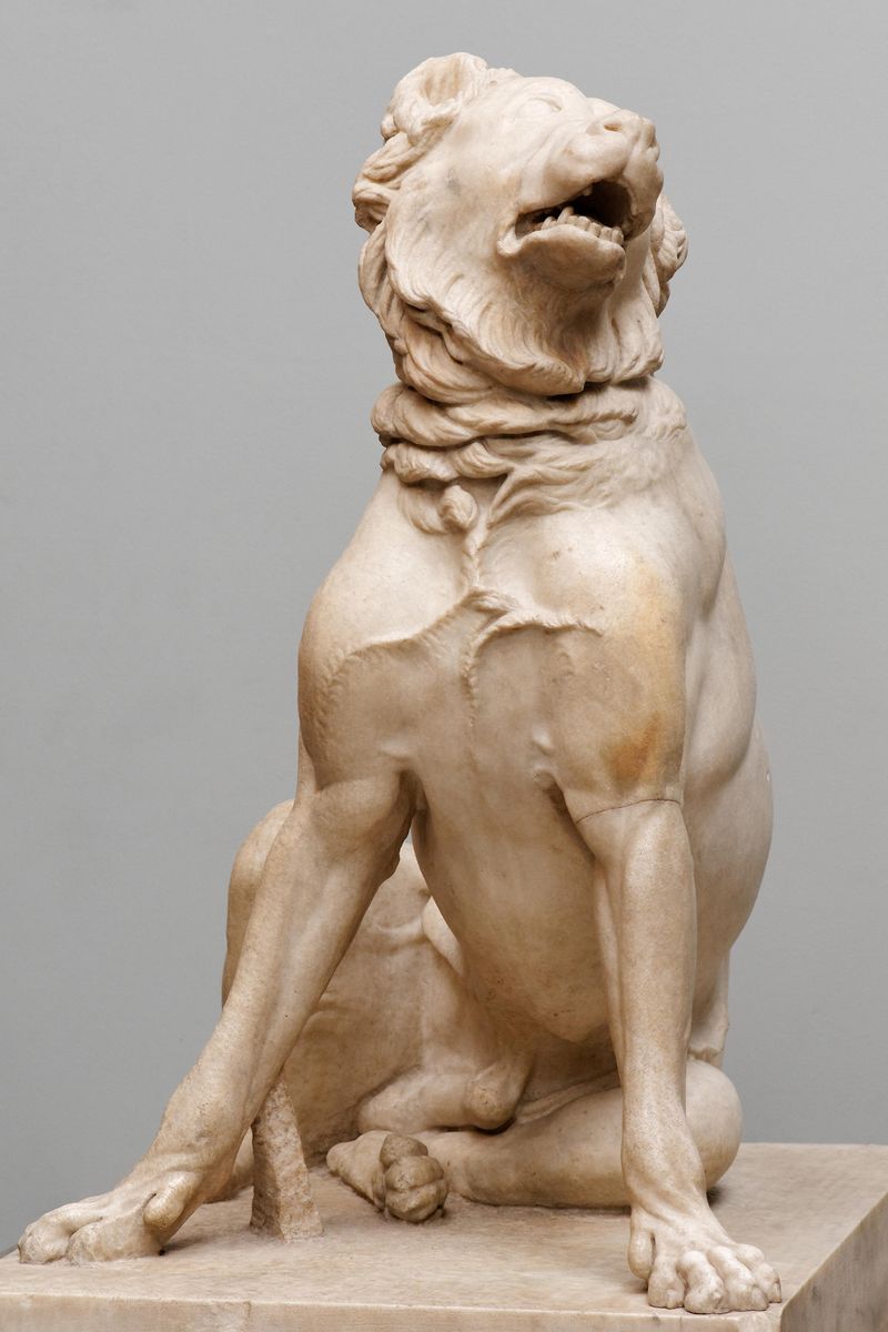Molossus