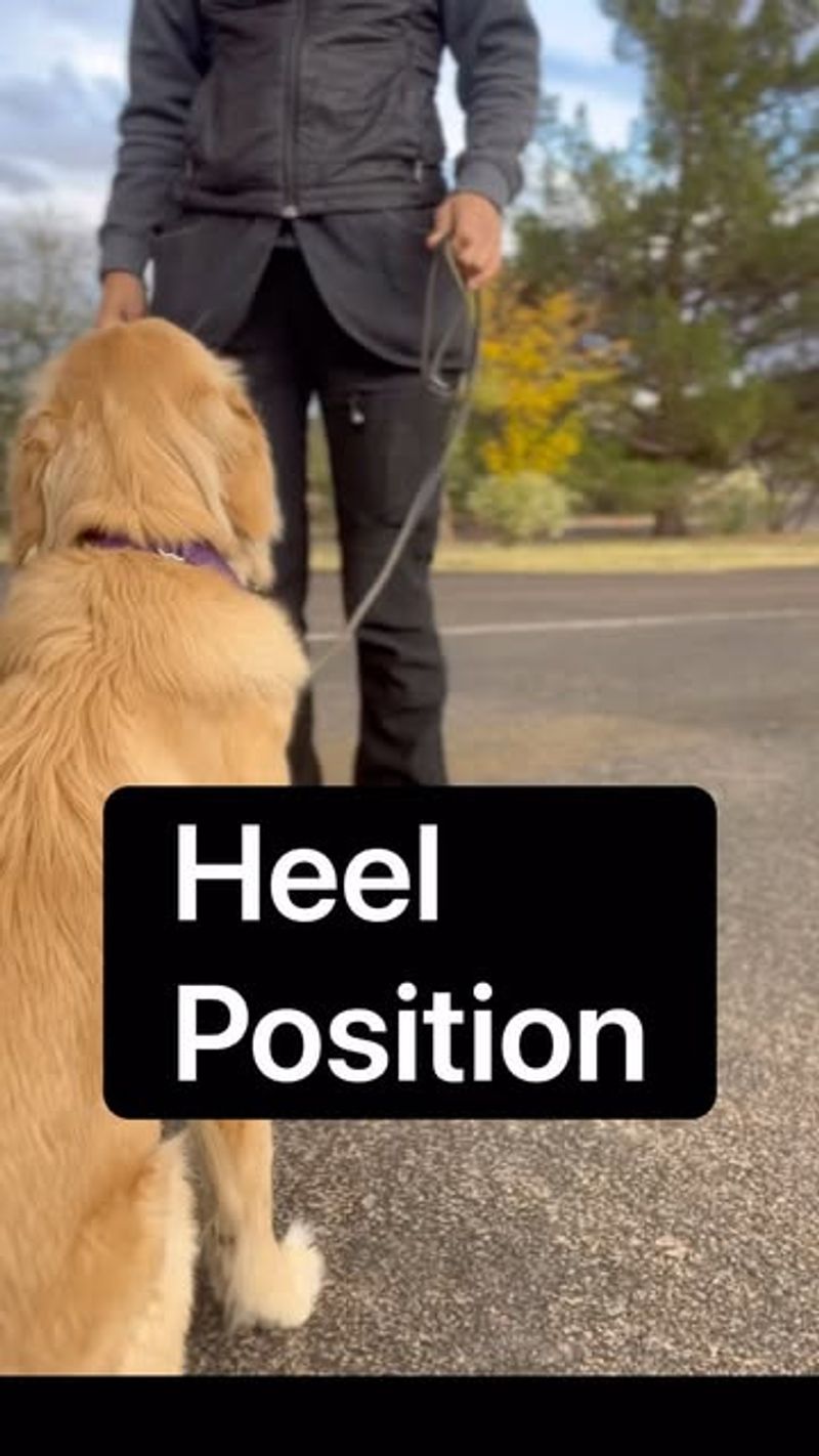 Heel vs. Heal