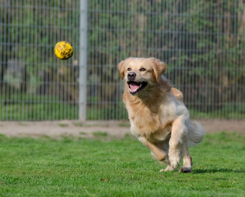 Skipping Playtime