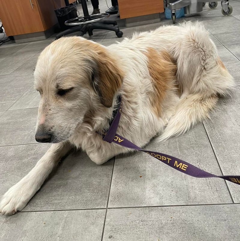 Loss of Bladder Control