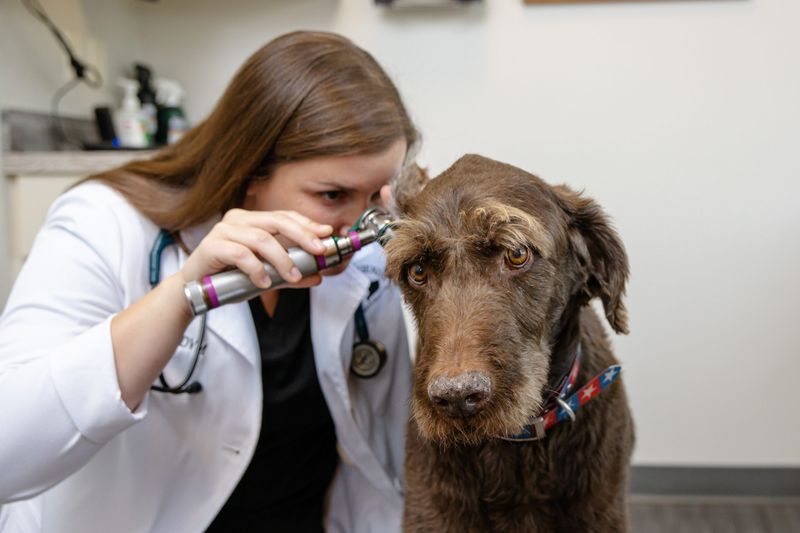 Ignoring Health Check-ups