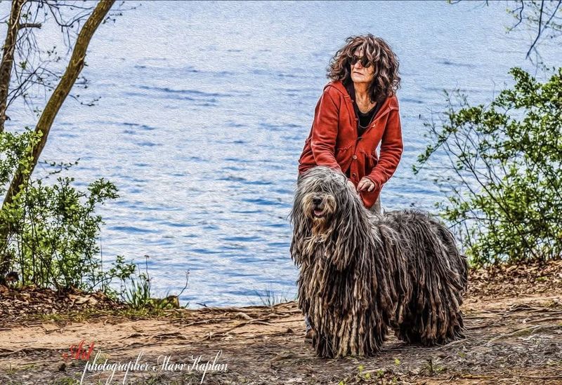 Bergamasco Sheepdog