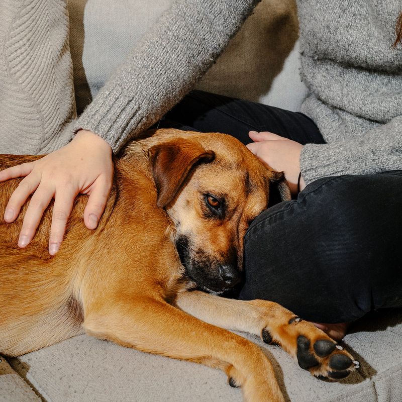 Snuggling Close to You