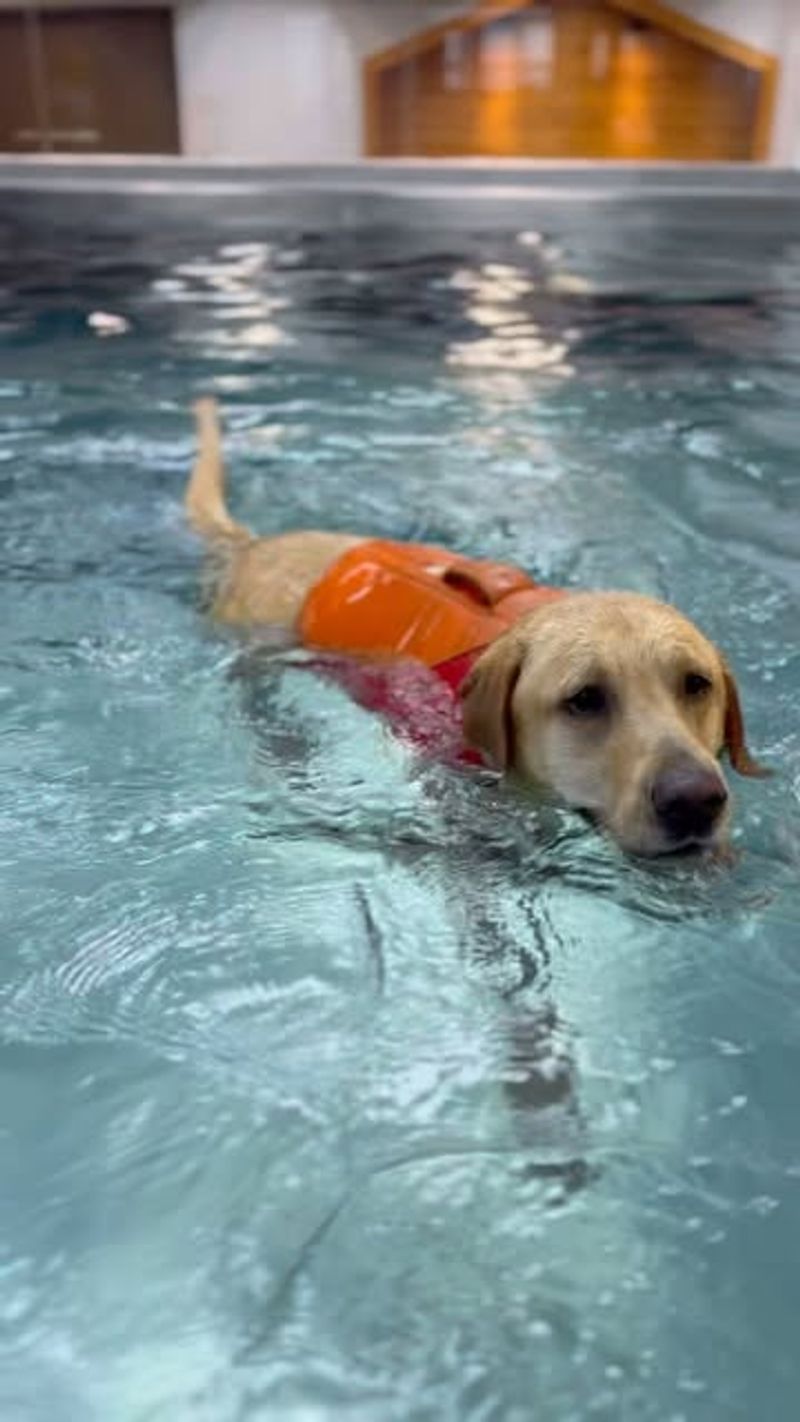 Hydrotherapy