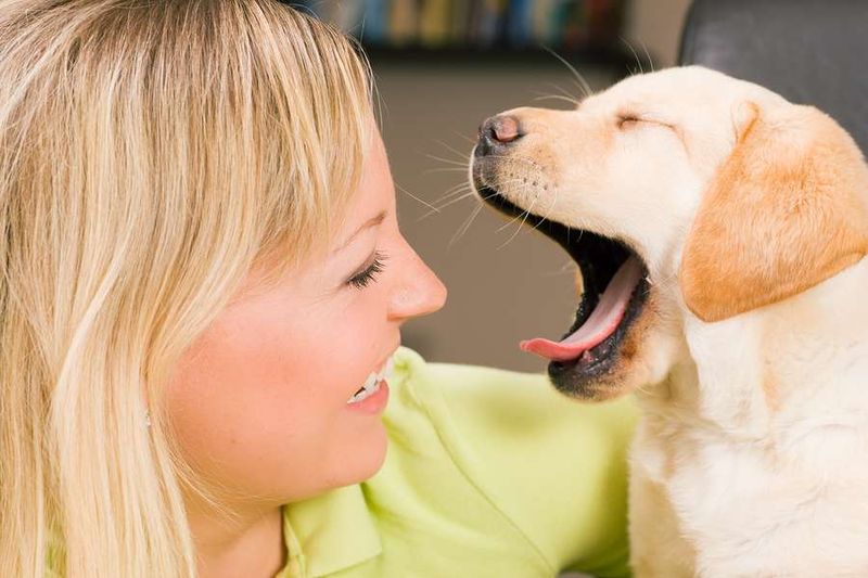 Yawning When You Yawn