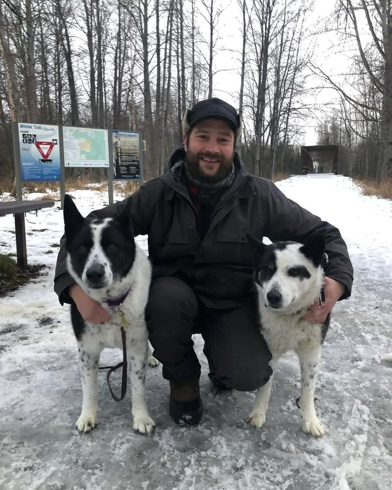 Karelian Bear Dog