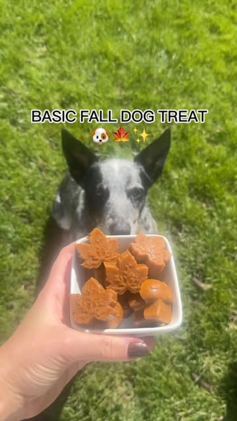 Treat