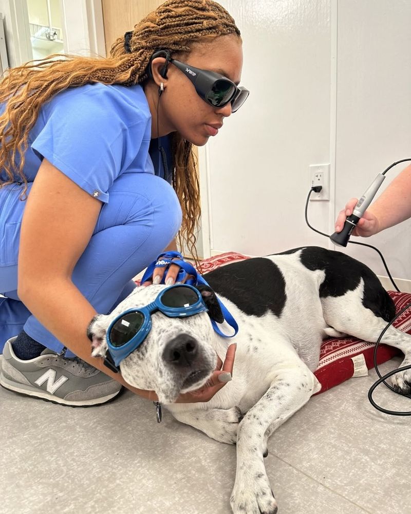 Laser Therapy