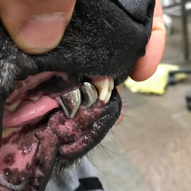 Bad Breath and Dental Issues