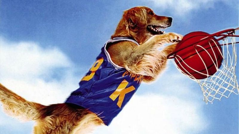 Air Bud