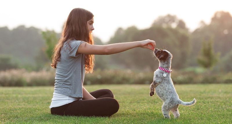 Start Early with Routine